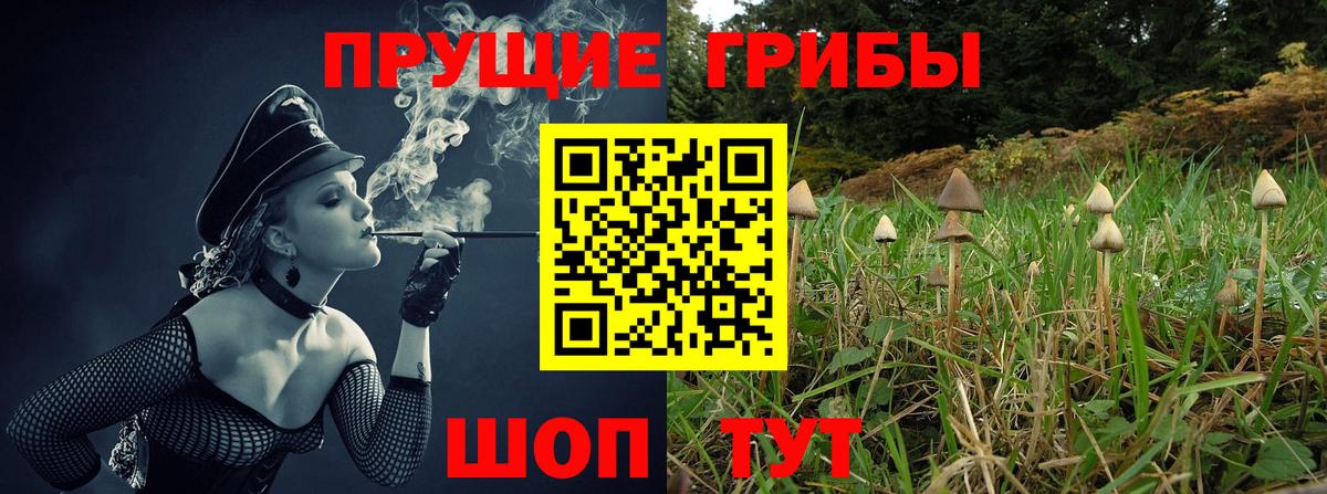 Галлюциногенные грибы мухоморы Богданович